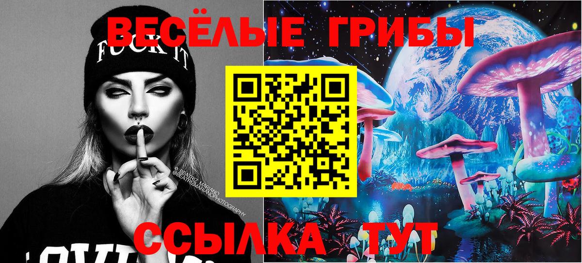 Кисловодск  Галлюциногенные грибы Magic Shrooms  Вход с VPN  Псилоцибиновые грибы Cubensis 